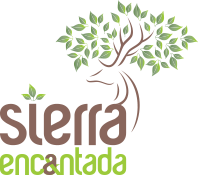 Cliente 7